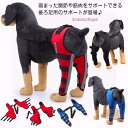 小型犬 介護用品 犬骨折治療 後ろ足 治療 術後 保護 靭帯 関節保護 サポーター 膝 左右セット 用 後ろ足 関節プロテクター 用