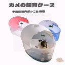 電子香炉 しずろ 日本香道 火を使わない 110v 安心安全 おしゃれな 香炉 簡単操作 練香 形香 アロマ 線香 お香 くれる 色合い 陶器