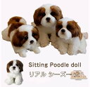 ぬいぐるみ 犬 シーズー 犬 リアル 犬 トイプードル グッズ 動物 いぬ アニマル いぬわんわん かわいい 手触りふわふわ おもちゃ 置物 店飾り 友達 子供...