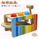 音の出るおもちゃ ハンマートイ 鉄琴 ボール落とし パウンド アンド タップベンチ 知育玩具 1歳 木のおもちゃ ドイツ 名入れ 名前入り とんかち遊び 知育 おもちゃ 木製 男の子 女の子