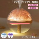 加湿器 卓上 プリザーブドフラワー おしゃれ アロマ オフィス 可愛い 小型 大容量 間接照明 アロマディフューザー おしゃれな 加湿器 ディフューザー 家庭用 ミニ加湿器 乾燥対策 静音