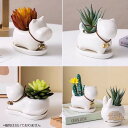 ミニ プランター 植木鉢 多肉植物鉢 サボテン セラミック トレー付き ミニ 観葉植物 ウサギ ネコ カバ いぬ ホーム 部屋飾り 母の日