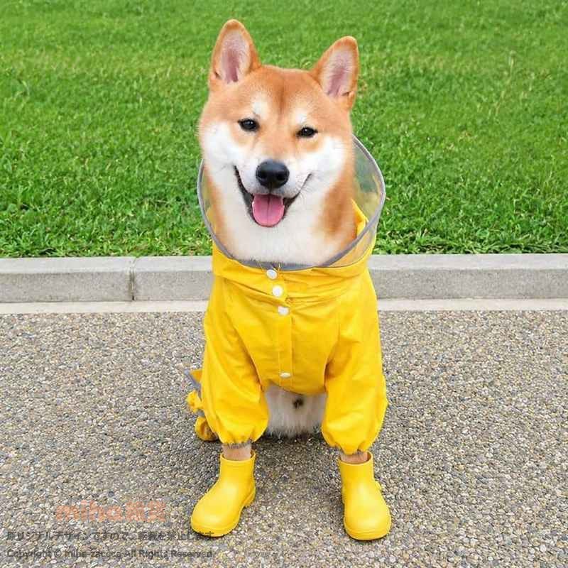 犬 レインコート 小型犬 中型犬 カッパ つば付き フード付き 四足 フルカバー 防水...