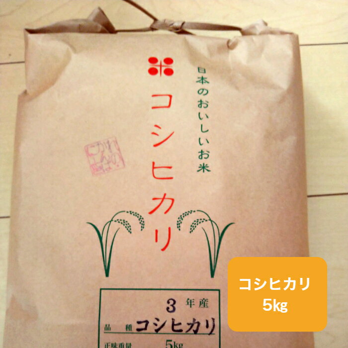 コシヒカリ 5kg 白米 米 減農薬 栃木県産 無洗米 おいしい こしひかり さめて...