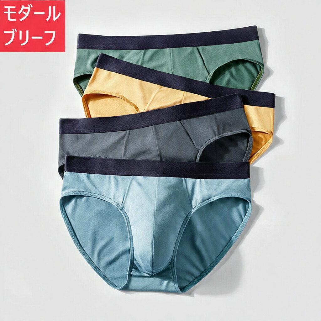 メンズ ブリーフ 前閉じ 単品 パンツ モダール生地 選べる4サイズ 50KG~90KG 吸汗 ...