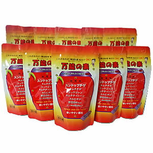 本場韓国の味が簡単に出せる！ハンおばさんの手作り調味料　【万能の素】1000g（100g×10個）