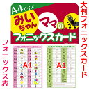 教師用大判A4みいちゃんママのフォニックスフラッシュカード(発音のコツと発音記号入り)132枚と大判ポスターA1みいちゃんママのフォニックスルール一覧表のセット...