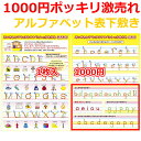 1000円ポッキリ アルファベット 表 小学生 下敷き おすすめ 書き順 筆順 色 数字 ユニバーサルカラー ユニバーサルデザイン 色覚障害 ..