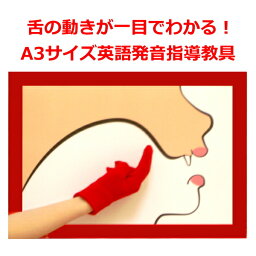 英語 英会話 発音 教材 指導 教具 舌 動き 教える おすすめ ランキング1位 小学生 子供 大人 小学校 授業【みいちゃんママのなんじゃもんじゃボード】英語発音をする時の舌の動きが一目でわかる発音発音指導教材 効果抜群 英語発音教材 わかりやすい英語発音指導教具