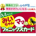 みいちゃんママのA4サイズフォニックスカード132枚セット|フォニックス、アルファベット、発音、発音記号が楽しく学べる。英語発音のコツがひらがなで書かれているか...
