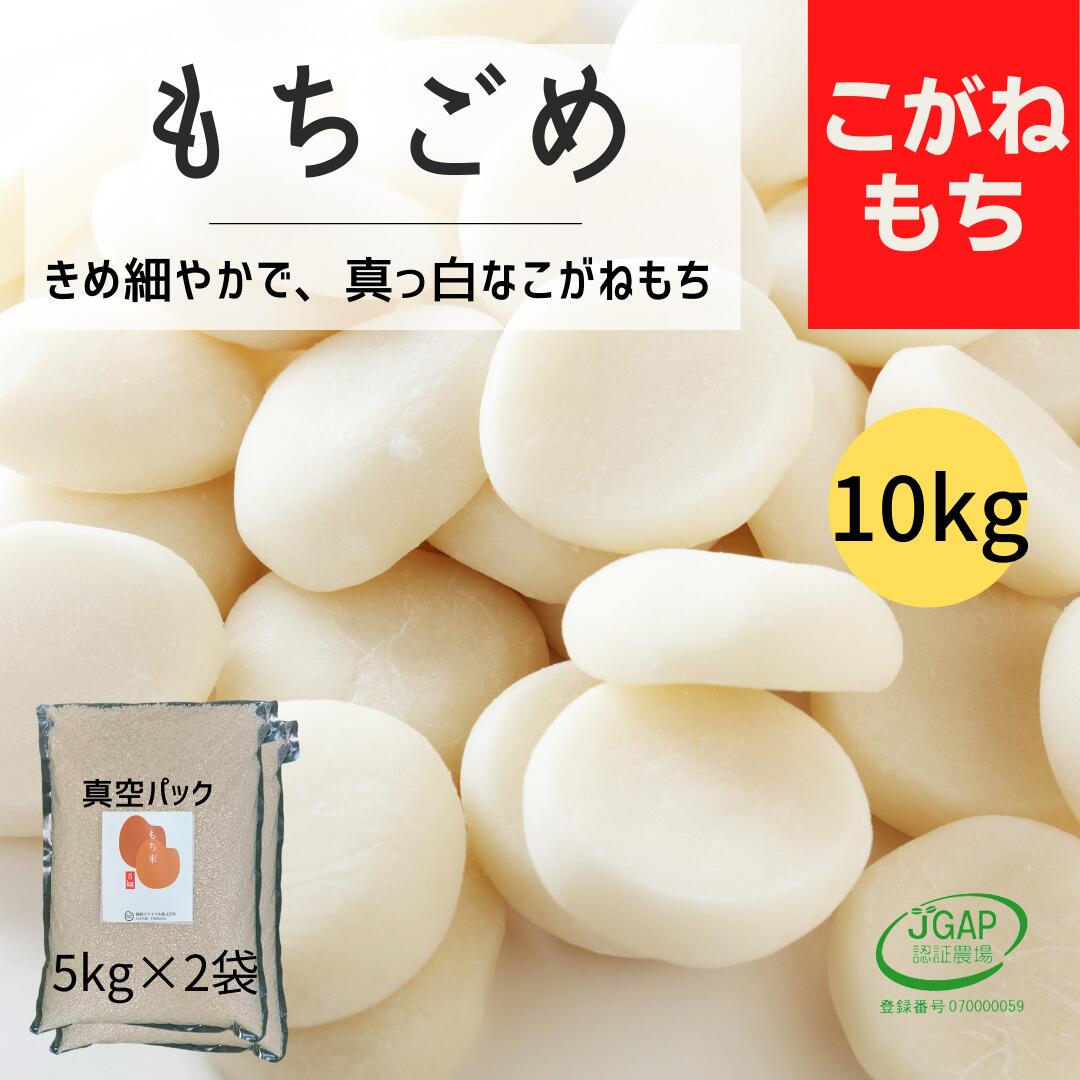 もち米 10kg(5kg×2袋) こがねもち 5キロ 真空パック お餅 おこわ おはぎ おしるこ お取り寄せ お米 赤飯 お赤飯 餅つき あんこ餅 一升餅 イベント 臼 杵 紅白餅 お祝い 餅 笹餅 ちまき