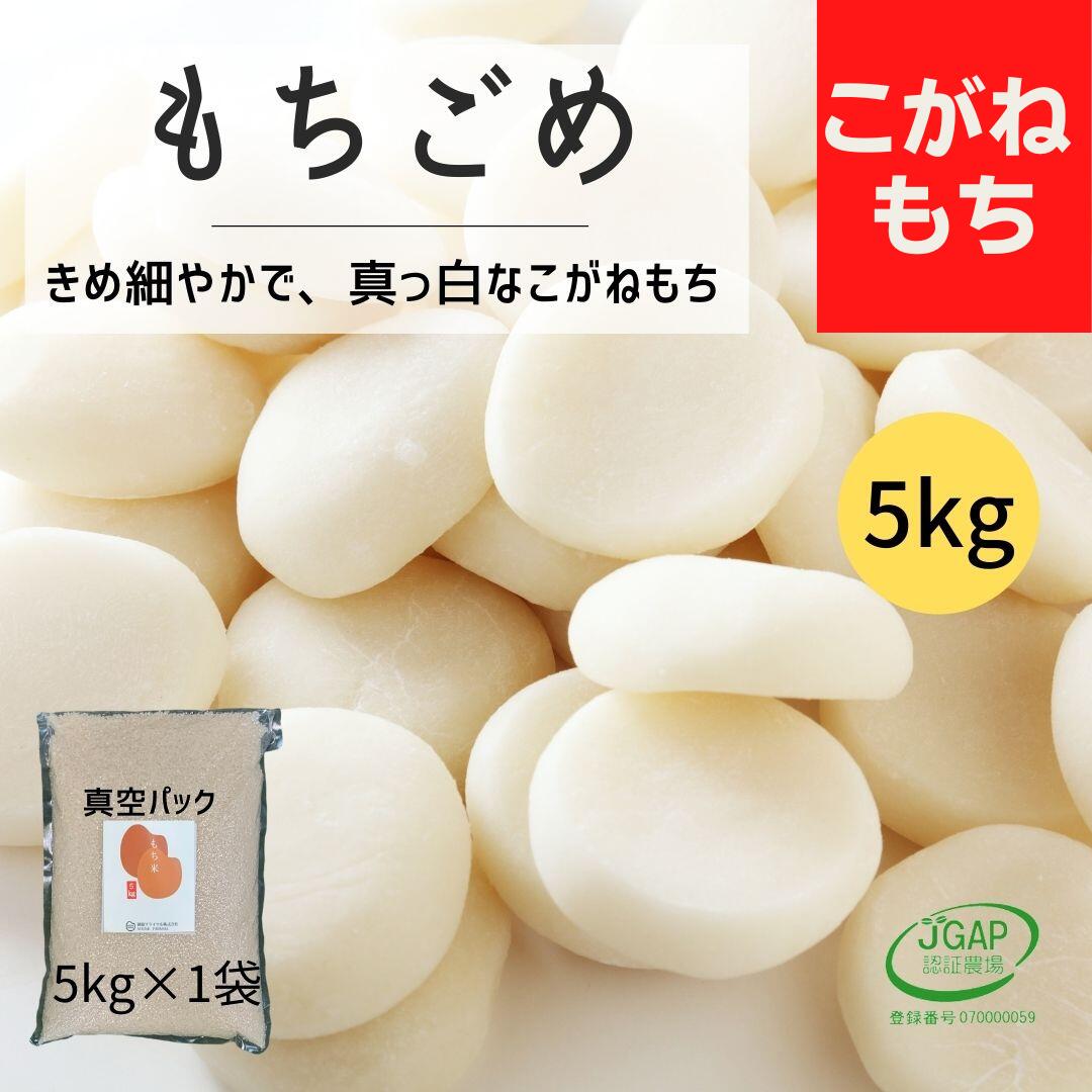 5月の価格＆ポイント変倍で最大10倍！(5/31まで)もち米 5kg 1袋 こがねもち 餅米 5キロ 真空パック お餅 おこわ おは…