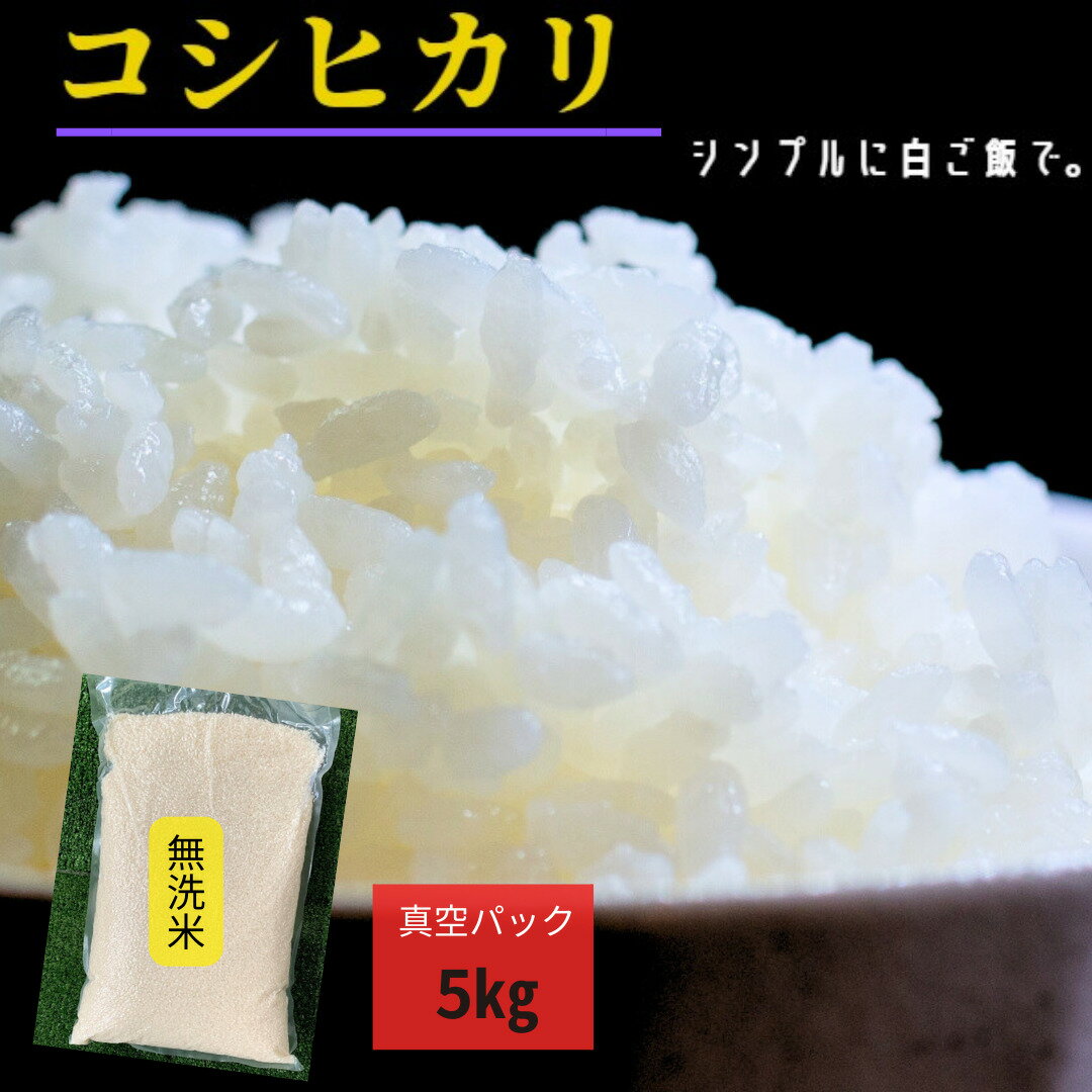 コシヒカリ 無洗米 5kg (1袋) 令和4年産 【送料無料】こしひかり 真空パック 贈り物 備蓄 非常食 米5キロ お取り寄せ こだわり お手頃 保存 炊き立て バランス 食味 甘み ねばり 農家直送