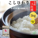 コシヒカリ 無洗米 5kg (1袋) 令和3年産 真空 5kg お米 福島 こしひかり 福島県 真空パック 5キロ 贈り物 備蓄 非常食 米5キロ コシヒカリ5キロ 無洗米5キロ 美味しい米 真空 米 5 こめ 5k お米 福島県産 お取り寄せ おこめ 美味しい 米