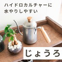 じょうろ かわいい 水差し 水さし 観葉植物 ステンレス製 おしゃれ 小さい ガーデニング アンティーク ビンテージ 北欧 コンパクト 小型 室内 屋外用 園芸...