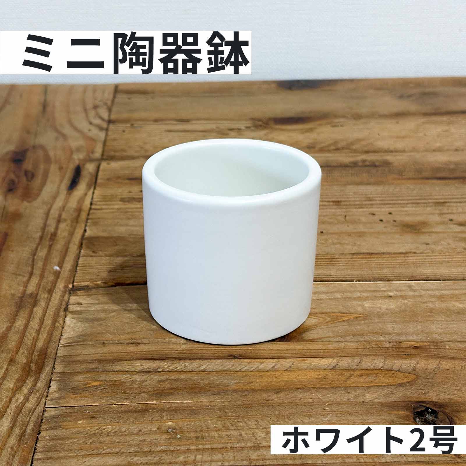 Rakuten - 陶器鉢 2号 白 ホワイト 植木鉢 観葉植物 おしゃれ シンプル 小型 鉢底穴あり インテリア 園芸用品 多肉植物 サボテン 植え替え用 ミニポット 北欧 モダン 室内 卓上 鉢カバー 通気性 吸湿性 ハンドメイド 洗練 デザイン 清潔感 雑貨