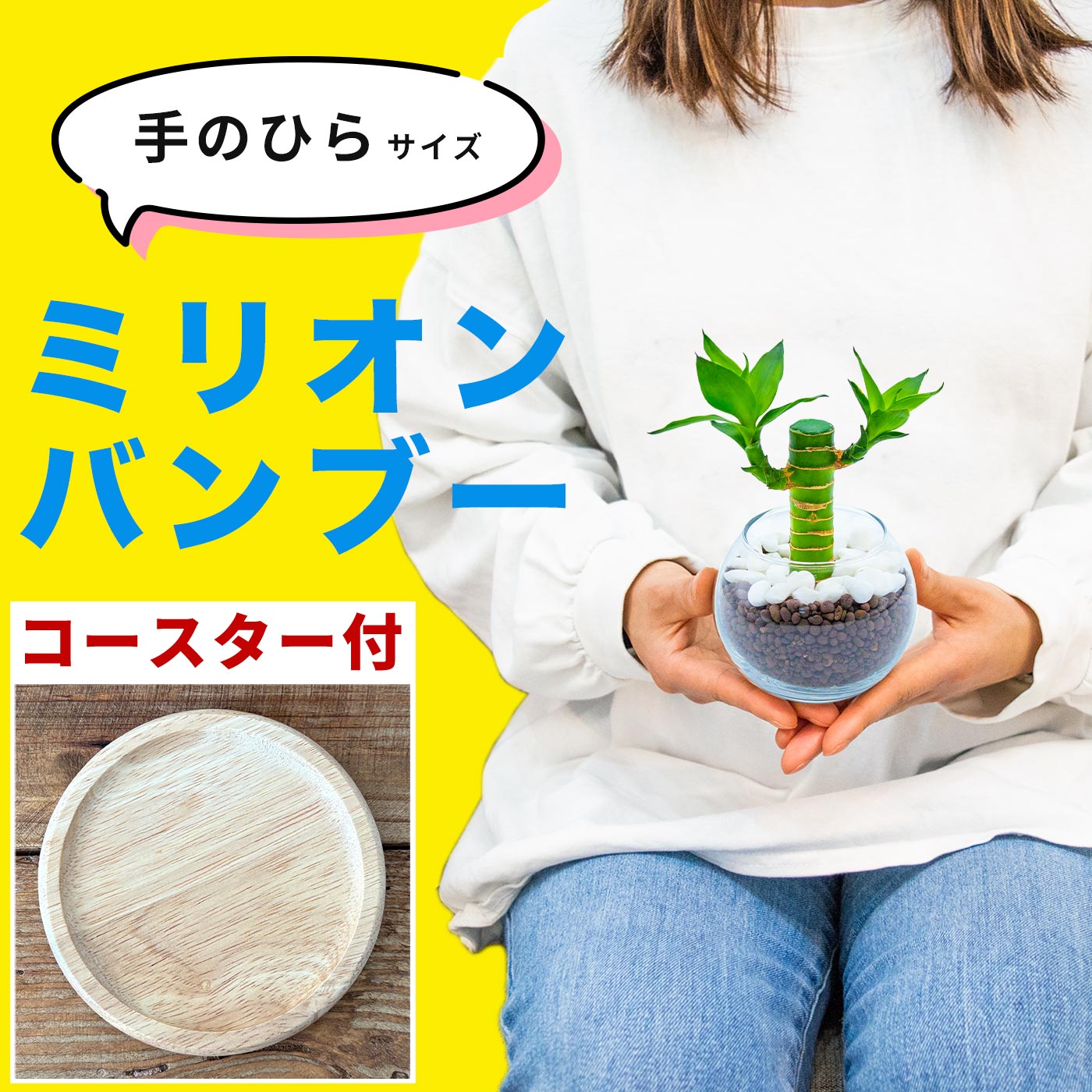 ミリオンバンブー キングバンブー 観葉植物 ハイドロカルチャー ミニ サイズ 小さい 虫がわかない 土を使わない 水耕栽培 本物 3号 卓上 ガラス 開店祝い 送料無料 初心者 風水 厄除け ラッピング 育てやすい 室内用 鉢植え 小さめ 小型