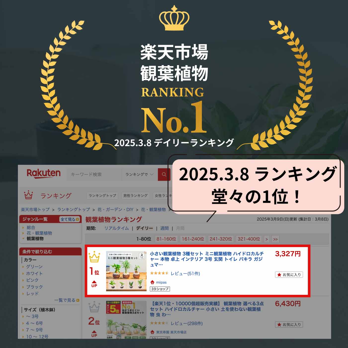 miipas 3号鉢セット 届いた瞬間からお部屋が垢抜けるハイドロカルチャーのミニ観葉植物 初心者でも失敗しない簡単管理で大切な人へのギフトに最適 おしゃれ