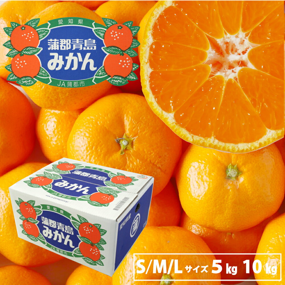 蒲郡青島みかん 蒲郡みかん みかん 青島 家庭用 贈答