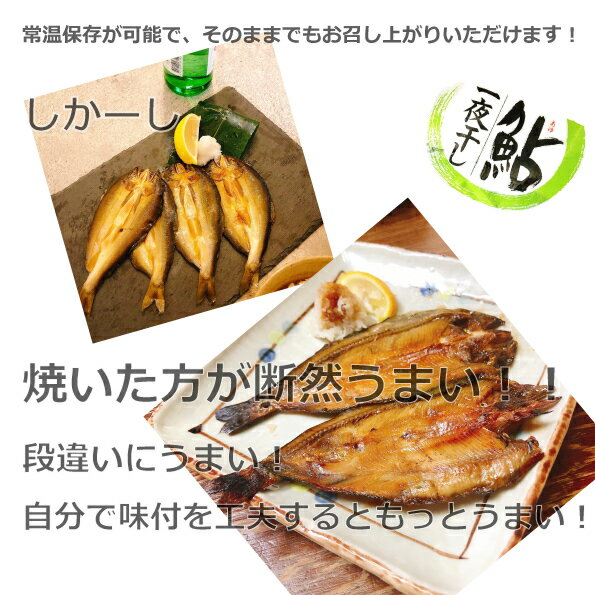 2�ޥ��å� �����봳��4���� ���� ���봳�� ���� �� ���� �����봳�� ǯ�� ��� ���ӤΤ����� ��κ� ���θ� ������ ���θ�ø���ܿ��ȶ�Ʊ�ȹ� �ϤʤΤ�Ʋ 300240