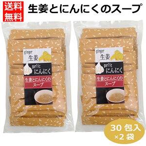 2袋セット 生姜とにんにくのスープ 粉末スープ インスタントスープ 調味料 ジンジャー ガーリック