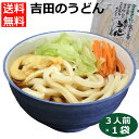 吉田のうどん3人前 うどん 吉田うどん 吉田 うどん よしだうどん 吉田のうどん 強い麺 つゆ付 富士吉田名物 山梨 ご当地麺 平井屋 お土産 手土産 お取り寄せ グルメ