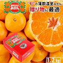 蒲郡温室みかん1.2kg 温室みかん ハウスみかん 蒲郡 愛知県 愛知 ギフト 甘い 旬 取り寄せ 通販