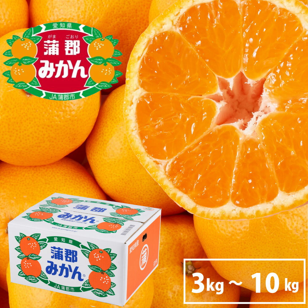 蒲郡みかん 宮川早生3kg ~10kg みかん 温州みかん 早生みかん 愛知 蒲郡市