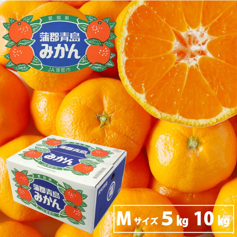 蒲郡青島みかん 蒲郡みかん みかん 青島 家庭用 贈答用 愛知県 蒲郡産のサムネイル