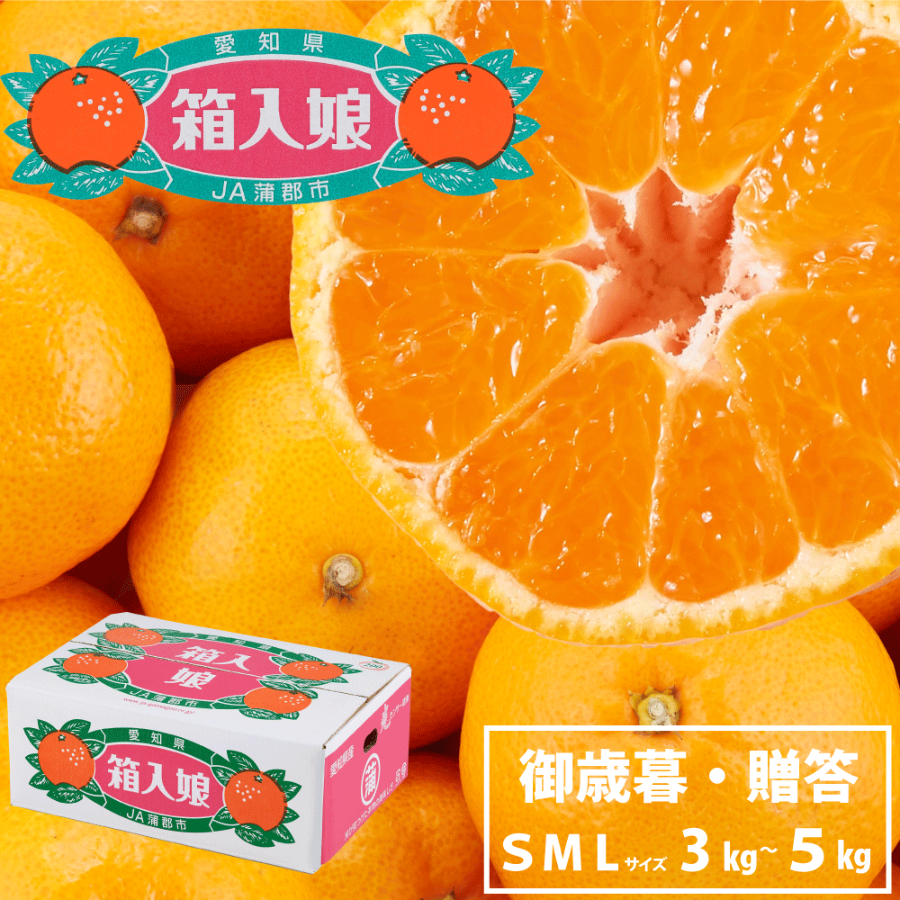 箱入娘 蒲郡みかん