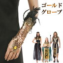 グローブ アームカバー クレオパトラ エジプト コスチューム 衣裳 仮装 キラキラ セクシー 舞台 ステージ ショー ハロウィン クラブ イベント レディガガ ...