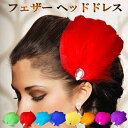 羽根 フェザー ビック コサージュ ヘッドドレス 髪飾り パーティードレス ダンス 衣装 バレエ 白鳥 ベリーダンス フラメンコ フラダンス 社交ダンス ヘアア...