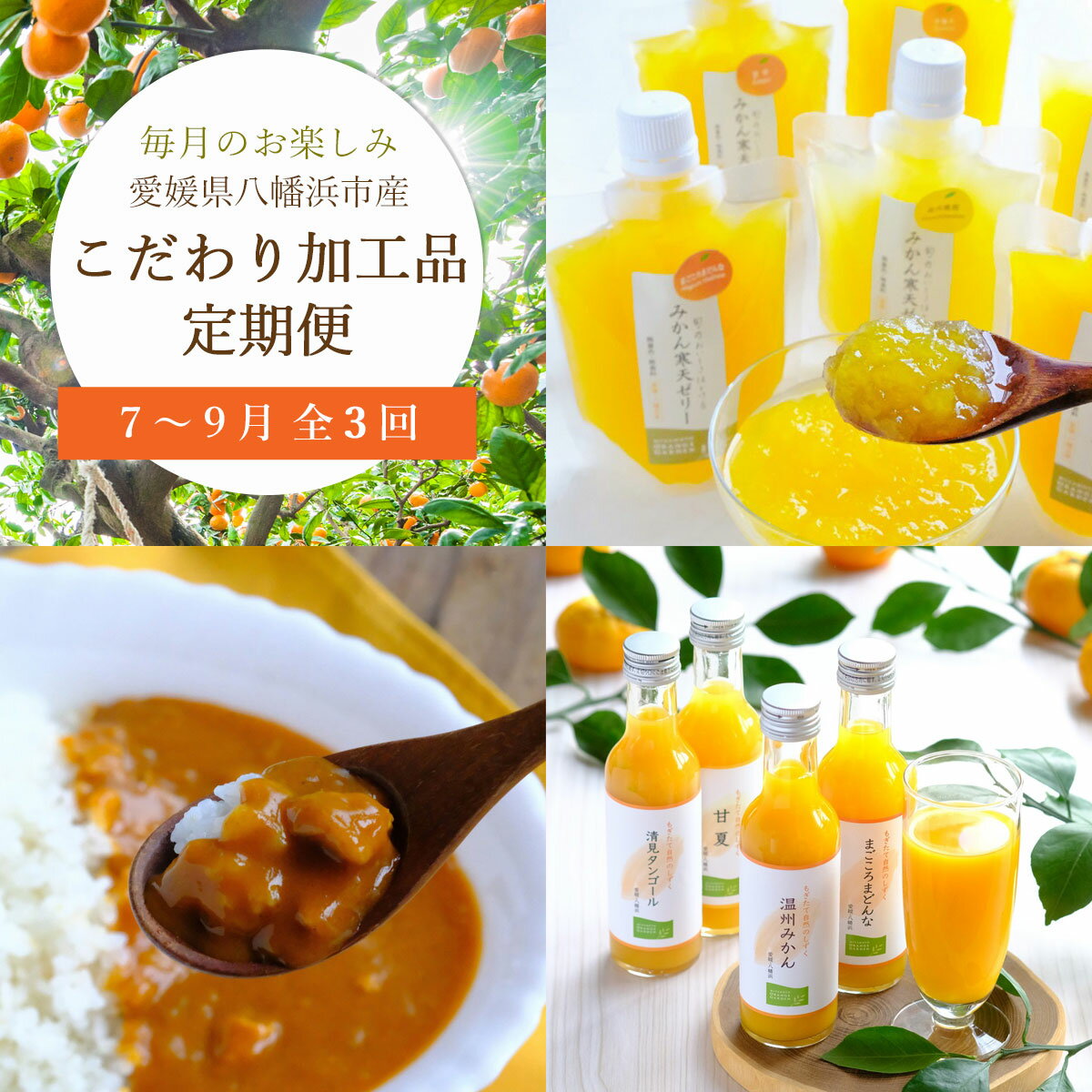 みかん かんきつ ジュース ゼリー 加工品 定期便 3ヶ月コース 7月〜8月 全3回 カレー パスタ レトルト セット ギフト サブスク 送料無料