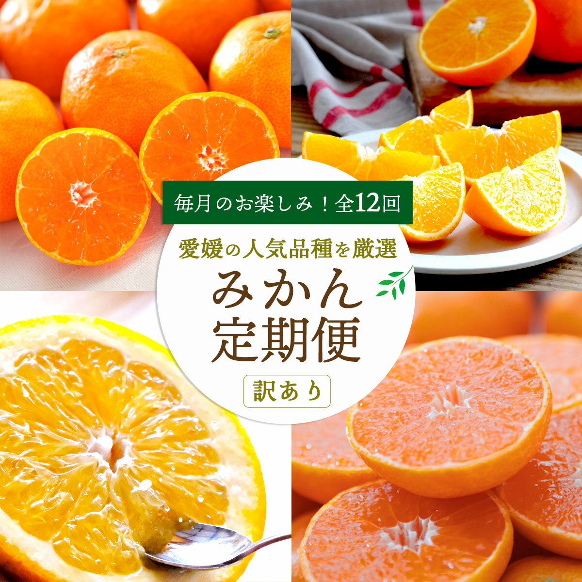 楽天市場】甘平 5kg(品種(みかん)せとか)(フルーツ・果物 楽天市場】甘平 5kg(品種(みかん)せとか)(フルーツ・果物