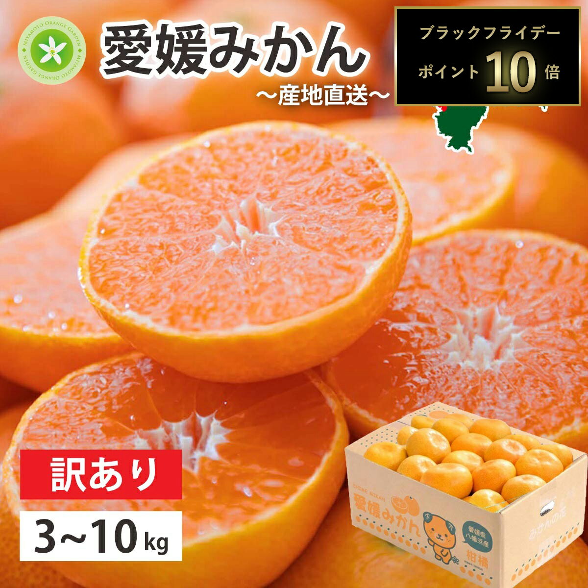 【期間限定 ポイント10倍】 みかん 