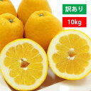 河内晩柑 訳あり 10kg 美生柑 みかん ジューシー 和製 グレープフルーツ 愛媛 オレンジ 直送 旬 お得 大容量