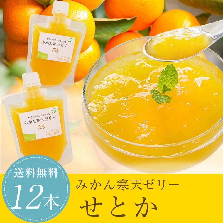 せとか寒天ゼリー 12本セット 送料無料