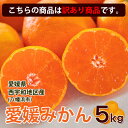 みかん 5kg 訳あり 極早生 送料無料 ブランド 愛媛県西...