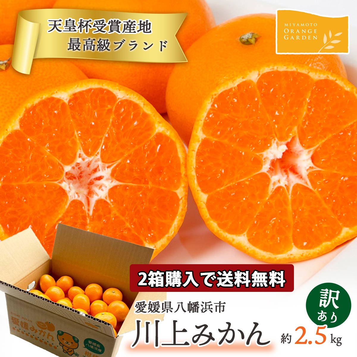 【2箱購入で送料無料】 みかん 川上みかん 訳あり 天皇杯受賞 2.5...(4)