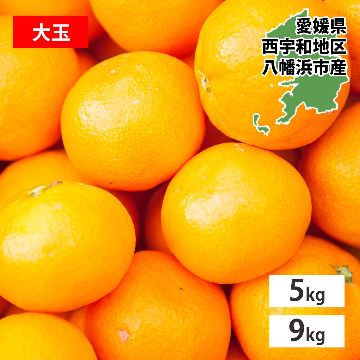 ߤ Ȣ㤤   5kg ɲ ߥ ̪  ڤ  ȬȨ ˤ   ֥  Ȣ㤤 ե롼 դ롼...