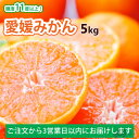 みかん 5kg 訳あり 送料無料 ブランド 愛媛県西宇和地区八幡浜市産 ご家庭用 ご褒美 フルーツ...