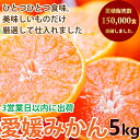 みかん 5kg 訳あり 送料無料 ブランド 愛媛県西宇和地区...