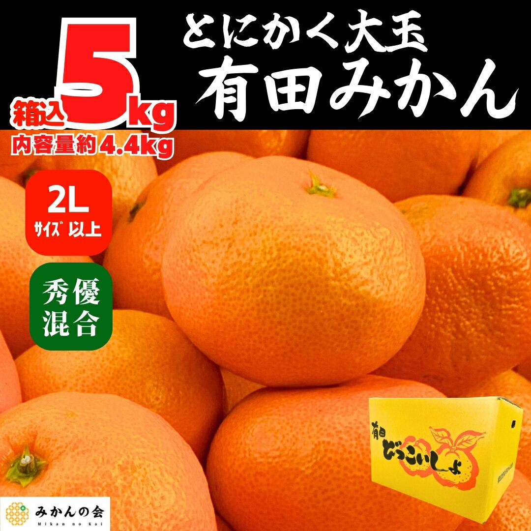 楽天市場】みかん 箱 売り(食品)の通販 楽天市場】みかん 箱 売り(食品)の通販