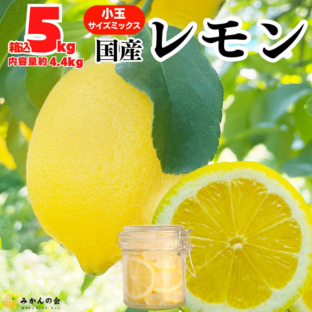 レモン 国産 小玉 秀品 箱込 5kg 2.5kg L M S サイズミックス 国産レモン 和歌山県産 産地直送 和歌山..