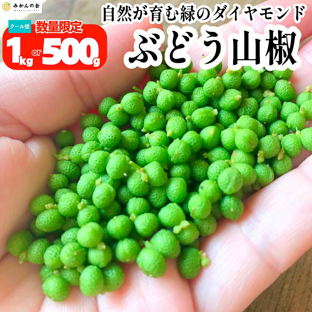 楽天市場】実山椒 予約の通販