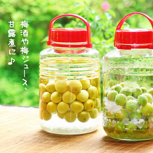 南高梅 青梅 秀品 小粒 和歌山県産 紀州有田 産地直送 梅酒作り用 梅ジュース作り用 7.5kg Sサイズ以下 クール便対応 梅酒うめ 梅酒梅 紀州南高梅 梅酒 国産梅 紀州梅 梅酒の梅 梅酒のうめ 小さい 小さめ 小 梅酒用 梅ジュース用 紀州 和歌山 梅ジャム 梅ジュース 甘露煮