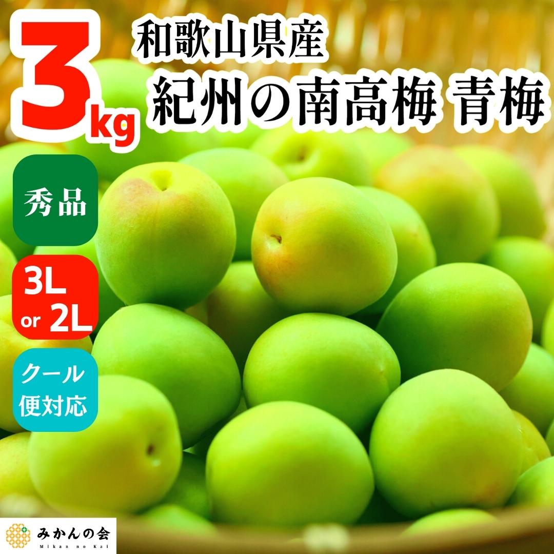 南高梅 青梅 秀品 和歌山県産 紀州有田 産地直送 梅酒作り用 梅酒用梅 梅ジュース作り用 3kg 3L or 2L サイズ クール便対応 紀州 有田 3キロ 梅酒用 梅 ジュース 梅ジュース 和歌山産 和歌山県産 紀州梅 産直 材料 梅酒 甘露煮 ジャム 梅酒梅 梅酒うめ お取り寄せ 贈り物のサムネイル