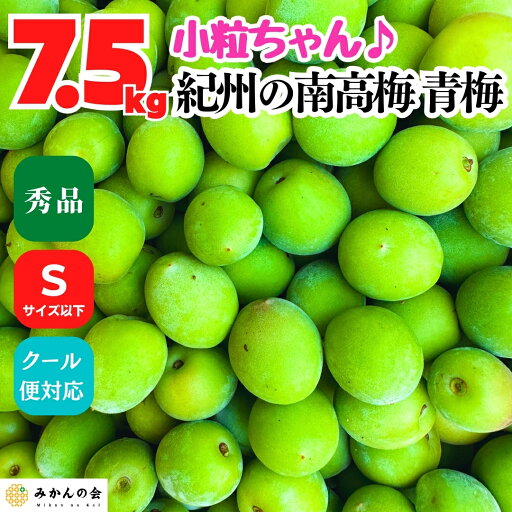 南高梅 青梅 秀品 小粒 和歌山県産 紀州有田 産地直送 梅酒作り用 梅ジュース作り用 7.5kg Sサイズ以下 クール便対応 梅酒うめ 梅酒梅 紀州南高梅 梅酒 国産梅 紀州梅 梅酒の梅 梅酒のうめ 小さい 小さめ 小 梅酒用 梅ジュース用 紀州 和歌山 梅ジャム 梅ジュース 甘露煮 南高梅 青梅 秀品 小粒 和歌山県産 紀州有田 産地直送 梅酒作り用 梅ジュース作り用 7.5kg Sサイズ以下 クール便対応 梅酒うめ 梅酒梅 紀州南高梅 梅酒 国産梅 紀州梅 梅酒の梅 梅酒のうめ 小さい 小さめ 小 梅酒用 梅ジュース用 紀州 和歌山 梅ジャム 梅ジュース 甘露煮