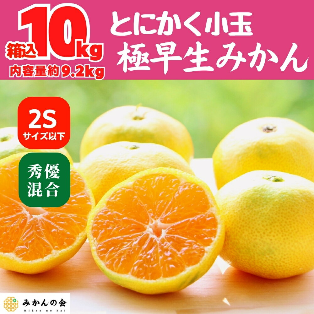 とにかく小玉 極早生 みかん 箱込 10kg ( 内容量 9.2kg ) 2Sサイズ以下 秀優混合 和歌山県産 早生みかん 有田ミカン 和歌山みかん 有田みかん ミカン 蜜柑 mikan 酸っぱい 箱入り みかん箱買い 緑のみかん みかんの会 10月中旬より出荷のサムネイル