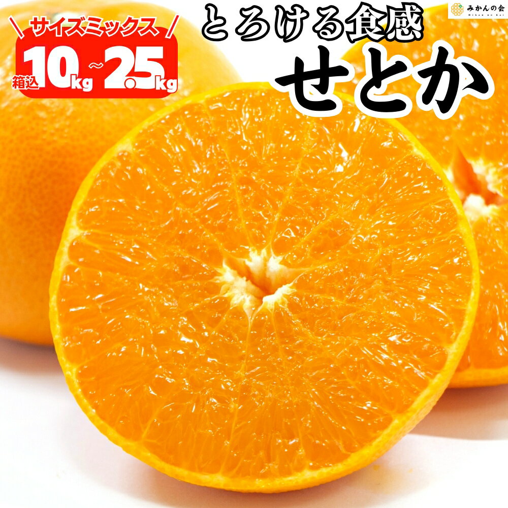 楽天市場】せとか 10kgの通販